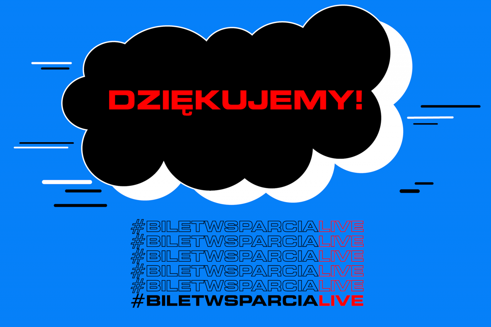 Bilet Wsparcia Live podsumowanie cykl live online streaming bilety