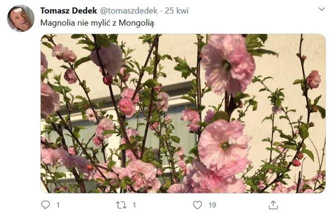 tomasz dedek twitter