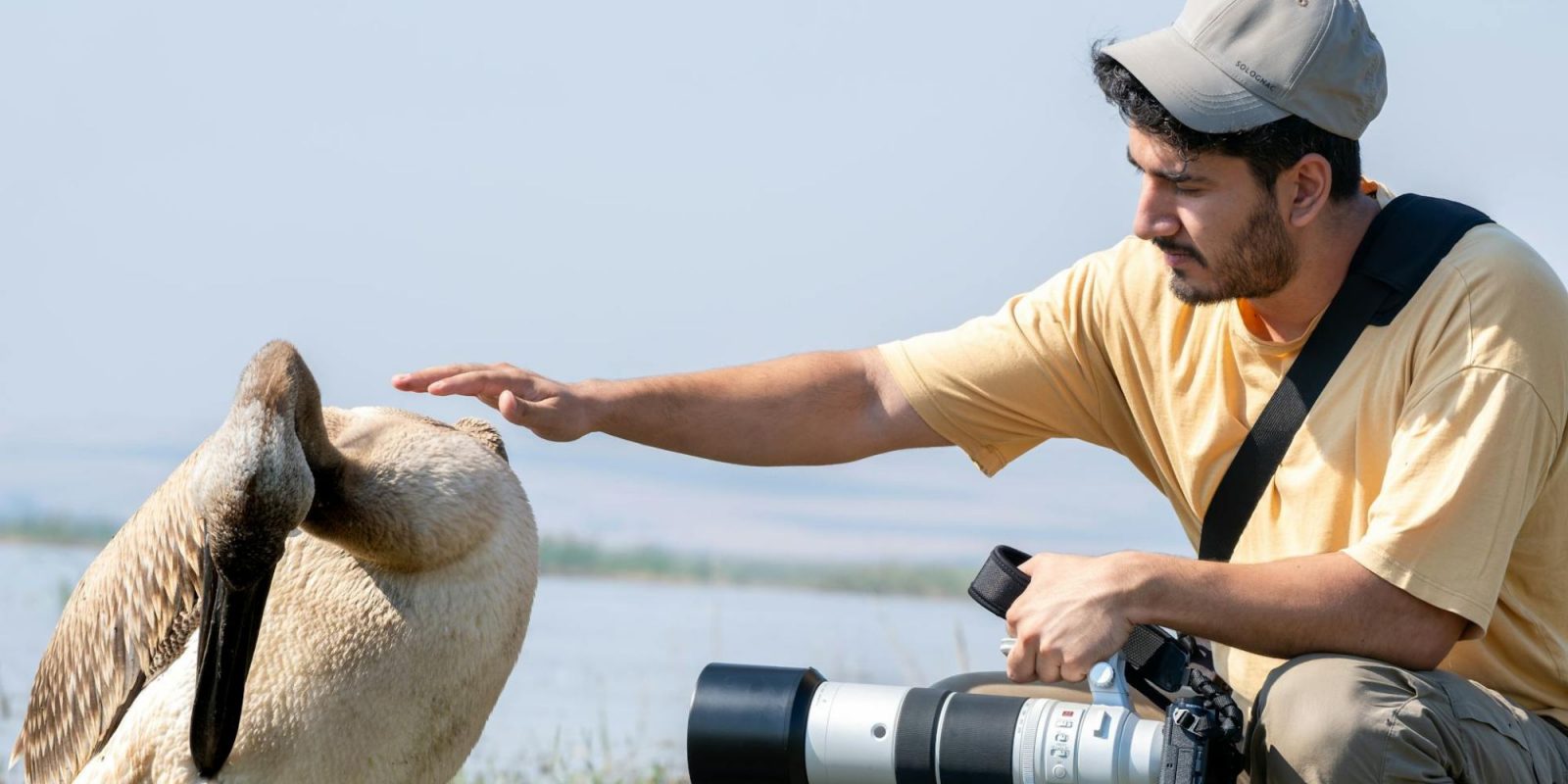 wildlife photographer