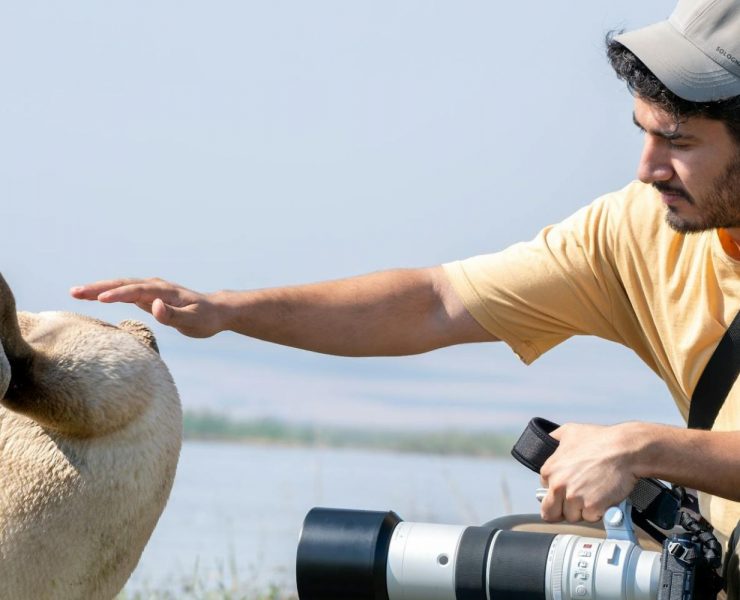 wildlife photographer