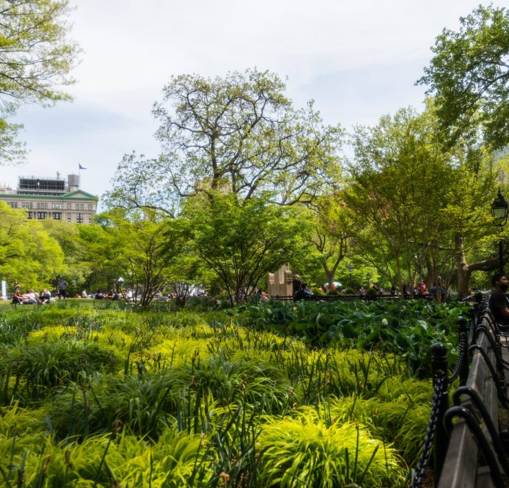 najmniejszy park