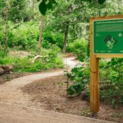 Ogrody biocenotyczne Warszawa