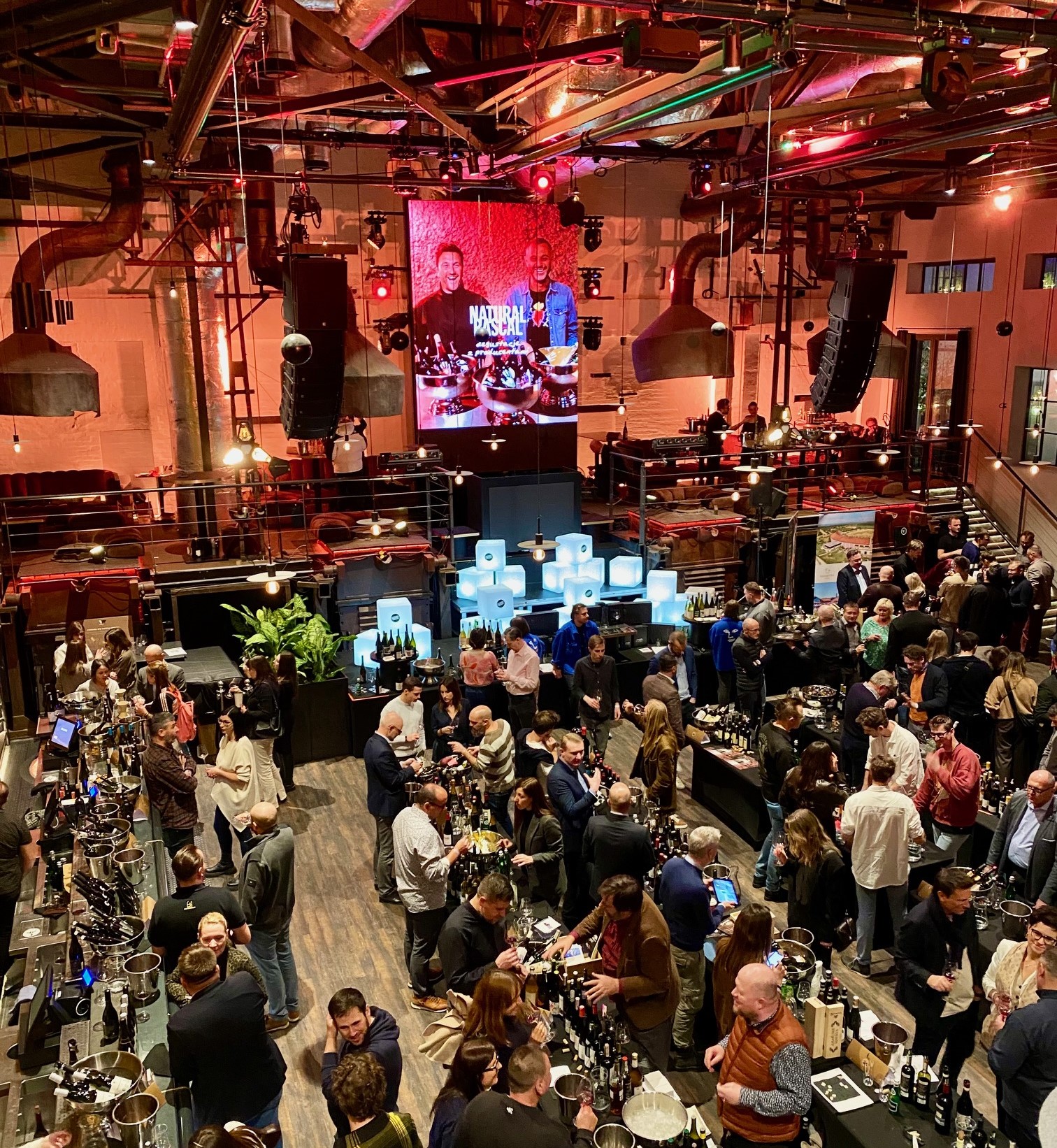 Warsaw Wine Experience