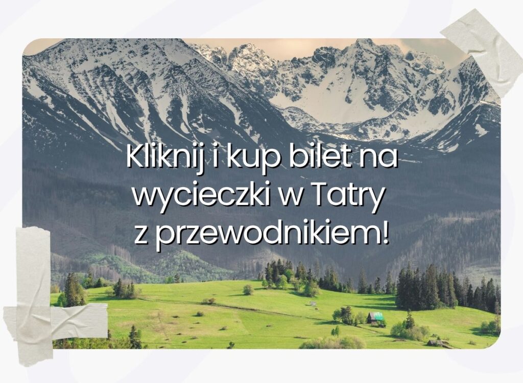 Cypek