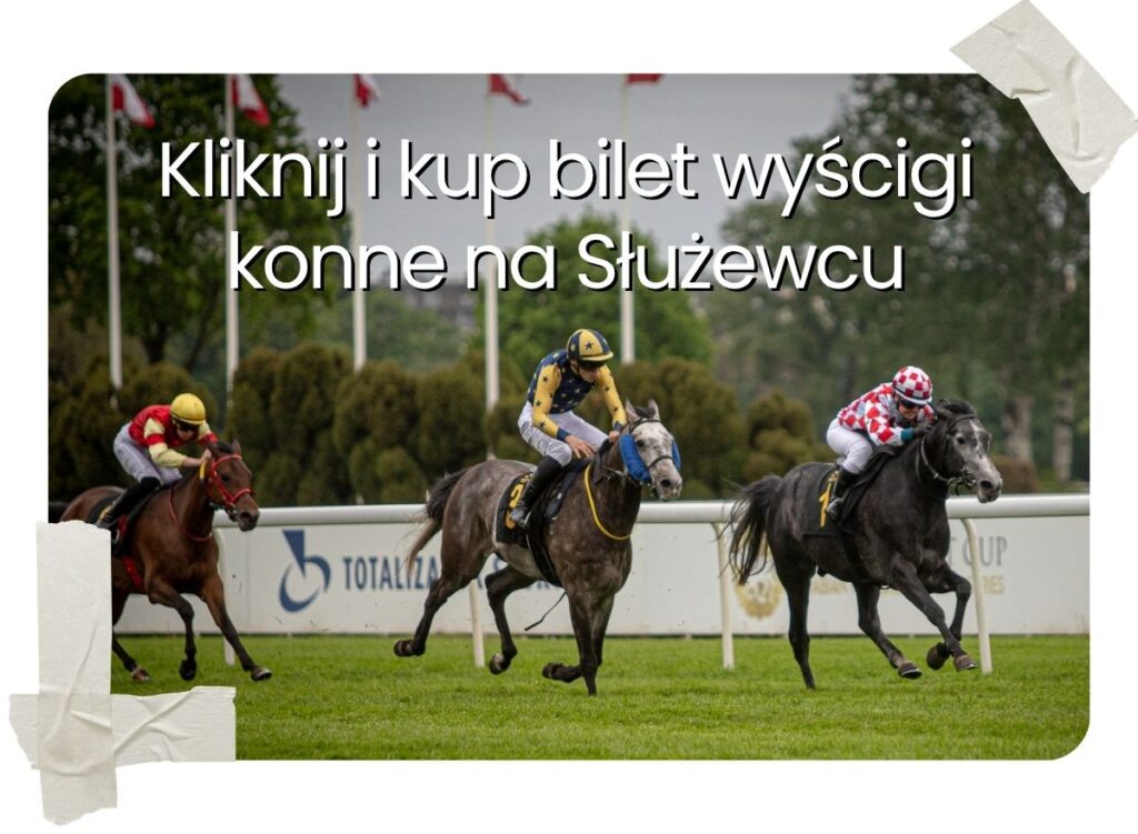 wyścigi konne