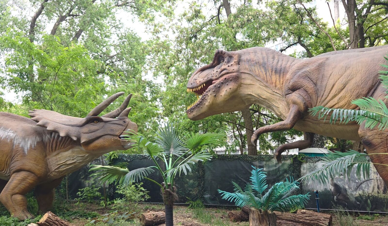 Lost World