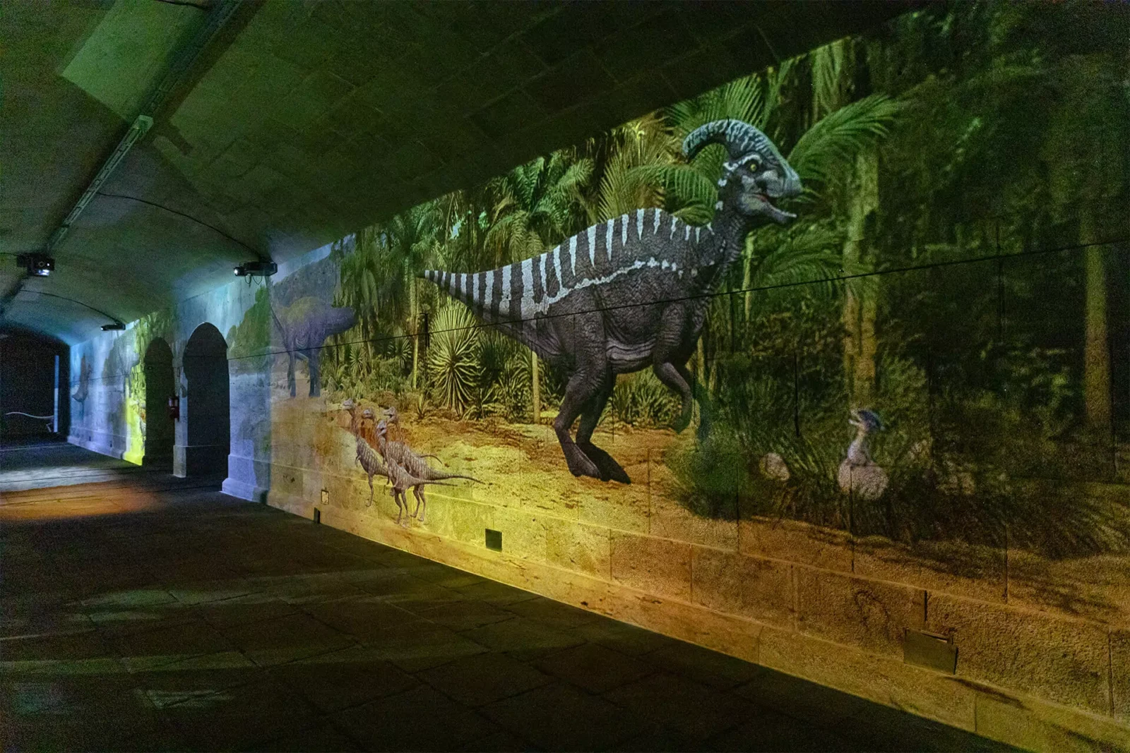 Dino Experience