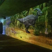 Dino Experience