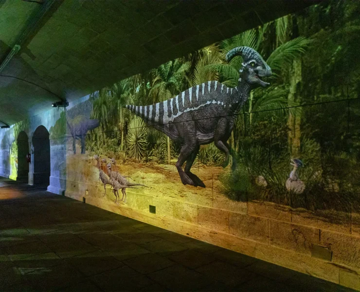 Dino Experience
