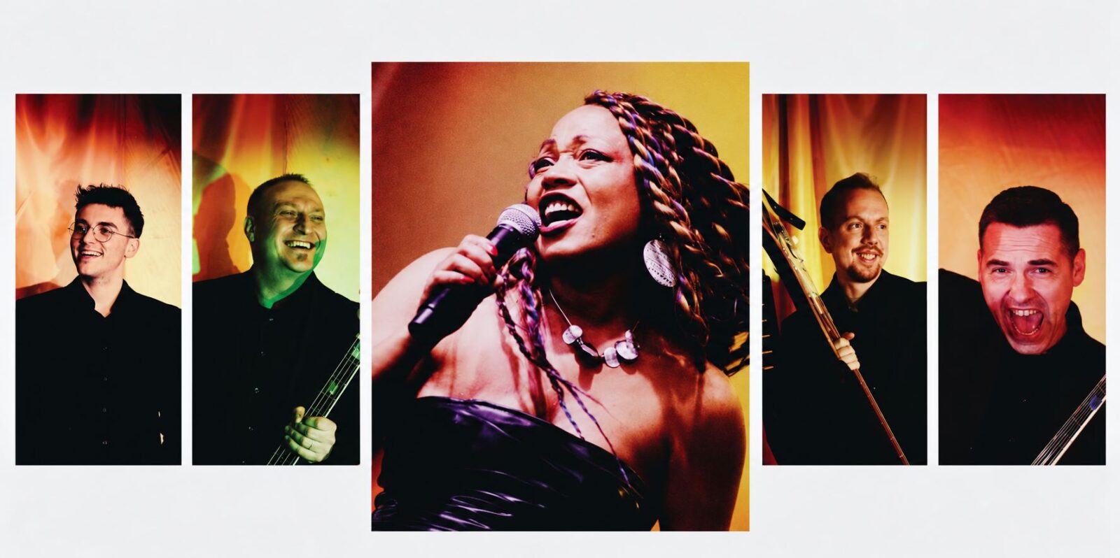 Tina Turner Show