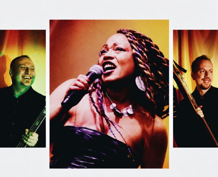 Tina Turner Show