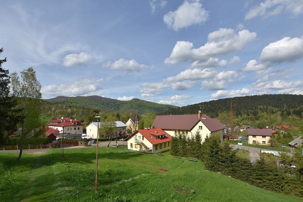 festiwal ZEW się budzi